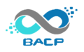 BA Cyber Professionals Pvt. Ltd.